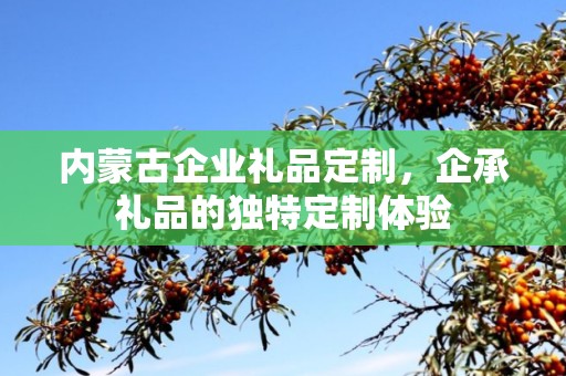内蒙古企业礼品定制，企承礼品的独特定制体验