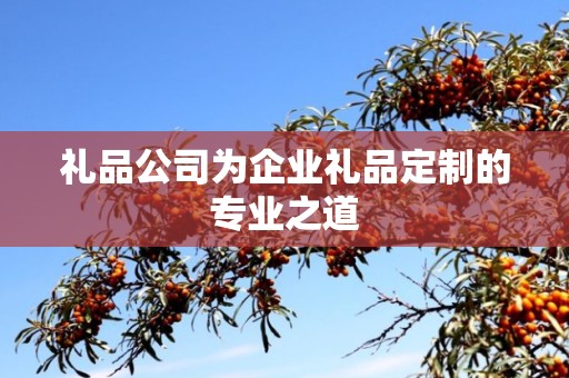 礼品公司为企业礼品定制的专业之道