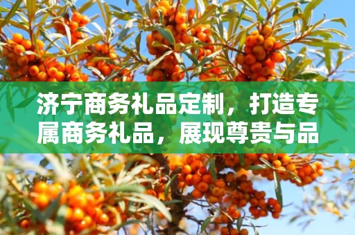 济宁商务礼品定制，打造专属商务礼品，展现尊贵与品味