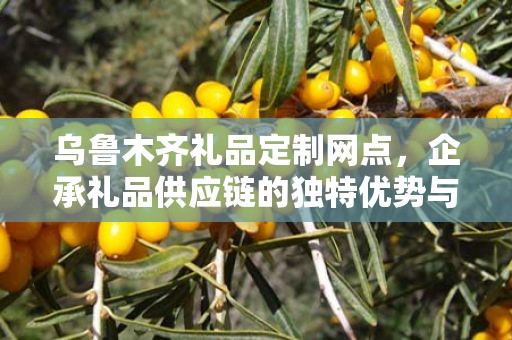 乌鲁木齐礼品定制网点，企承礼品供应链的独特优势与服务